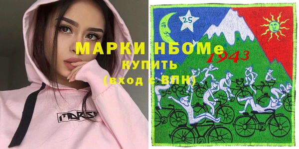 индика Касимов