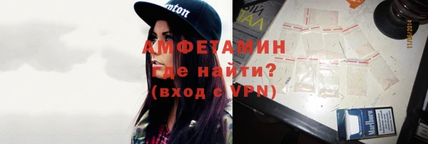 индика Касимов