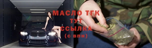 индика Касимов