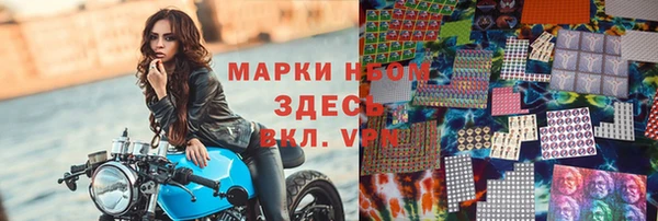 индика Касимов