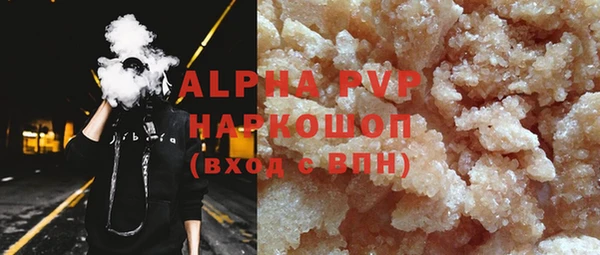 индика Касимов